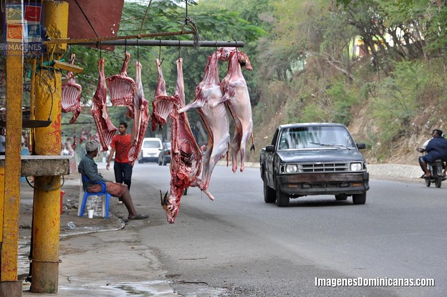 Venta de Carne de Chivos en San Cristobal