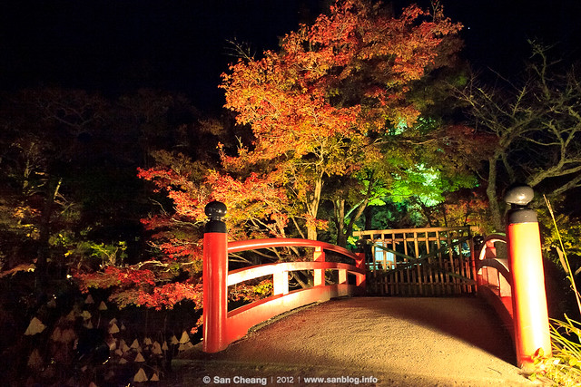 大覺寺夜楓