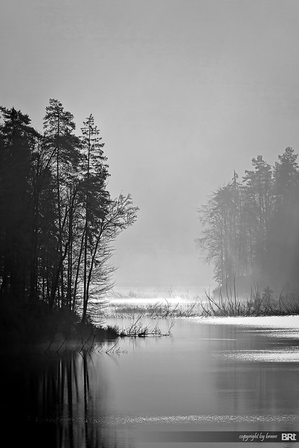 foggy_morning_on_lake - explored