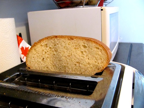 Brod & Taylor Folding Proofer & Country Wheat Sandwich Bread