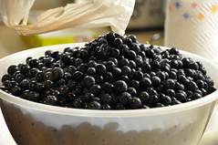 A bowl of sloes