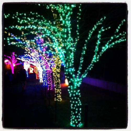 Zoo lights. New family tradition. @hoglezoo