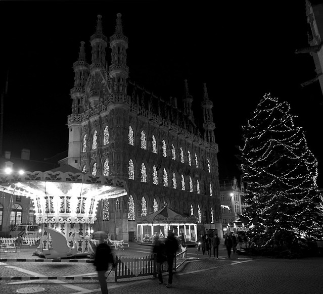 Hôtel de ville de Leuven