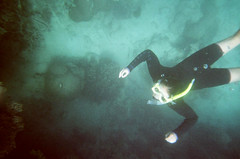 Great Barrier Reef Snorkel & Dive