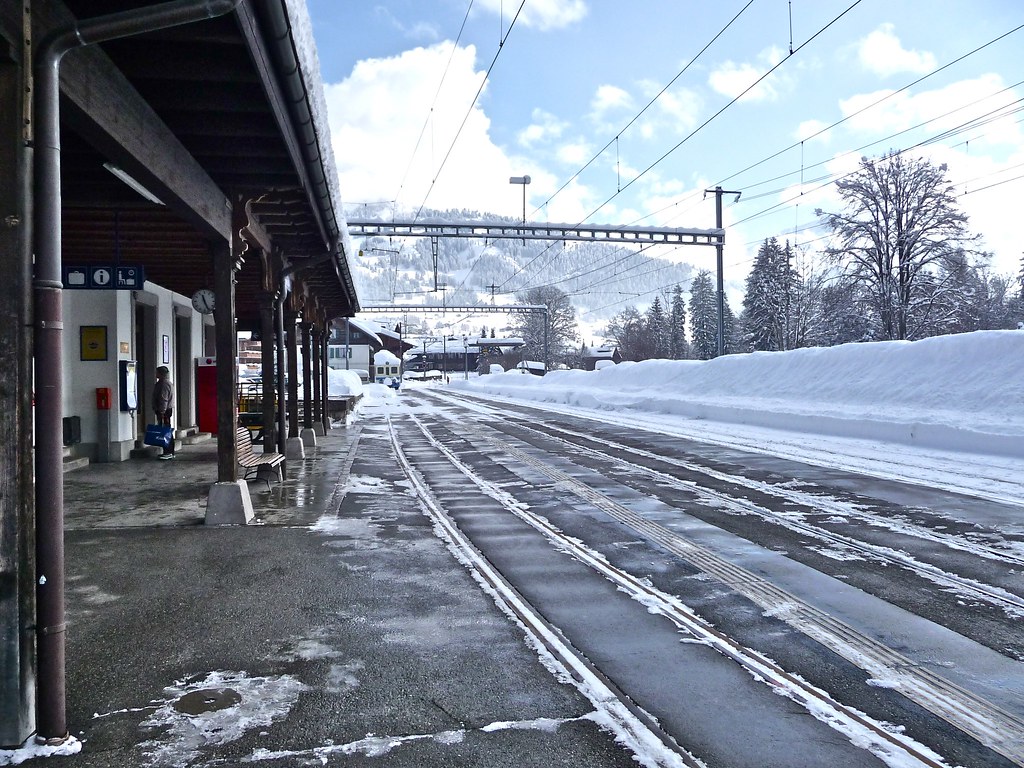 Train from Saanen to Vevey