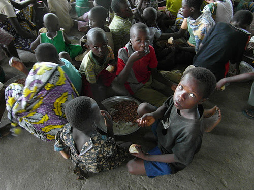 Feeding Station, Kikambala