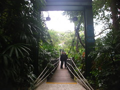 Ocean Park Suspension Bridge