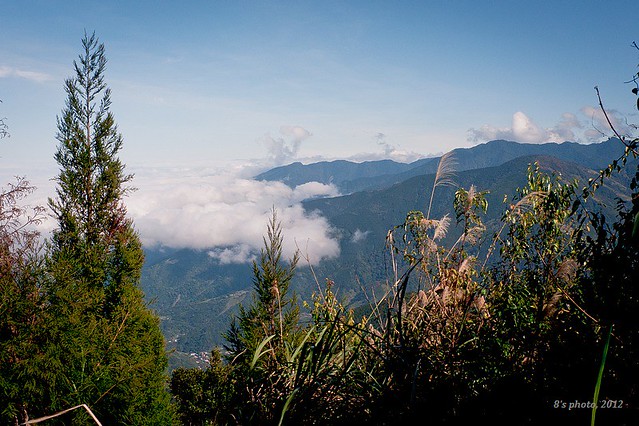 往比林山途中的茅草區看新竹群山及雲海