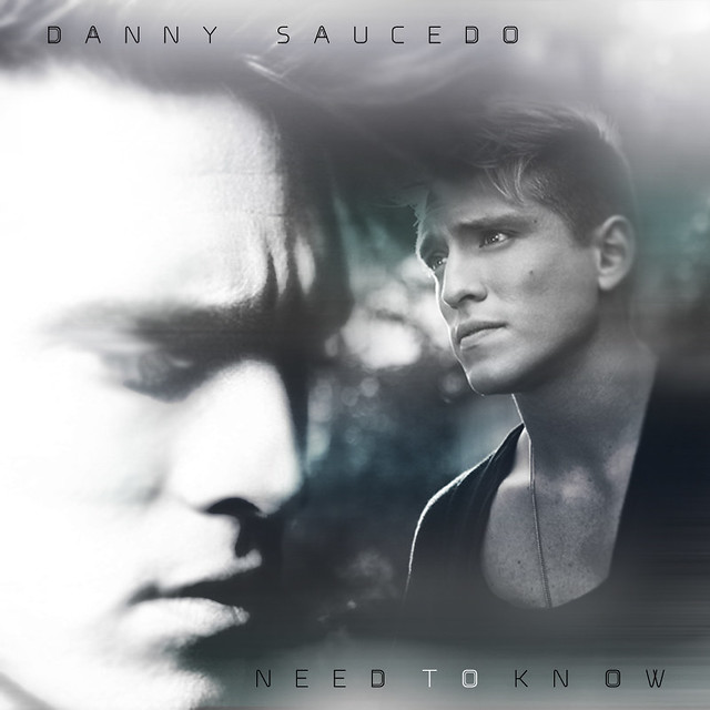 The song that I like the most of Danny Saucedo The beats are so deep and 