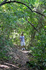 Forest Walk, Panama