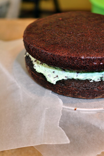 Chocolate Cake with Mint Chocolate Chip Frosting