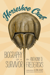 Horseshoe Crab book cover