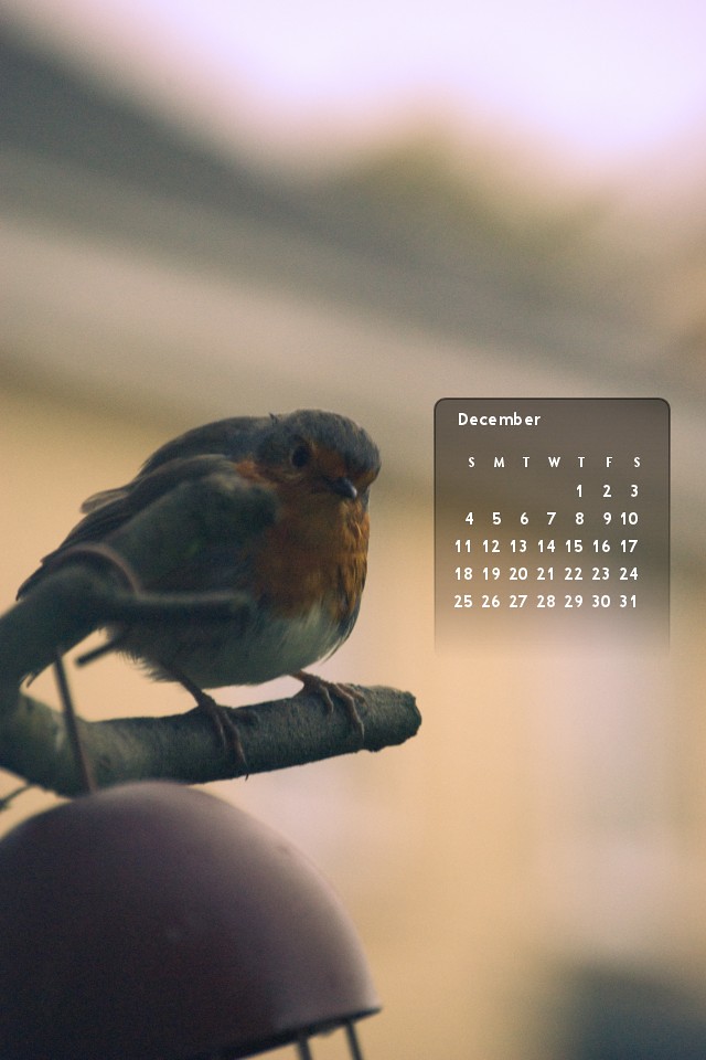 December 2011's calendar :: iPhone4