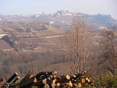 LANGHE AND ROERO: WINE LANDS