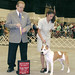  West Palm Beach **Two Best of Breed for Armani this weekend**