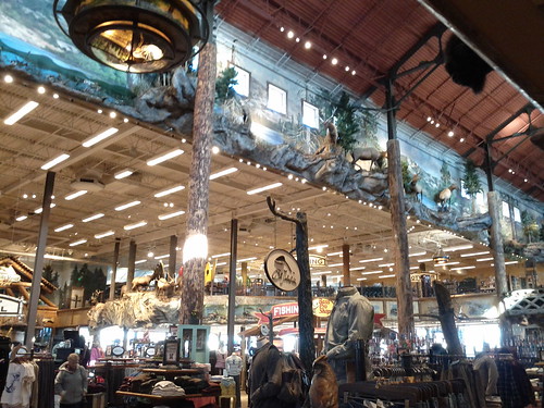 day016: in the Bass Pro Shop