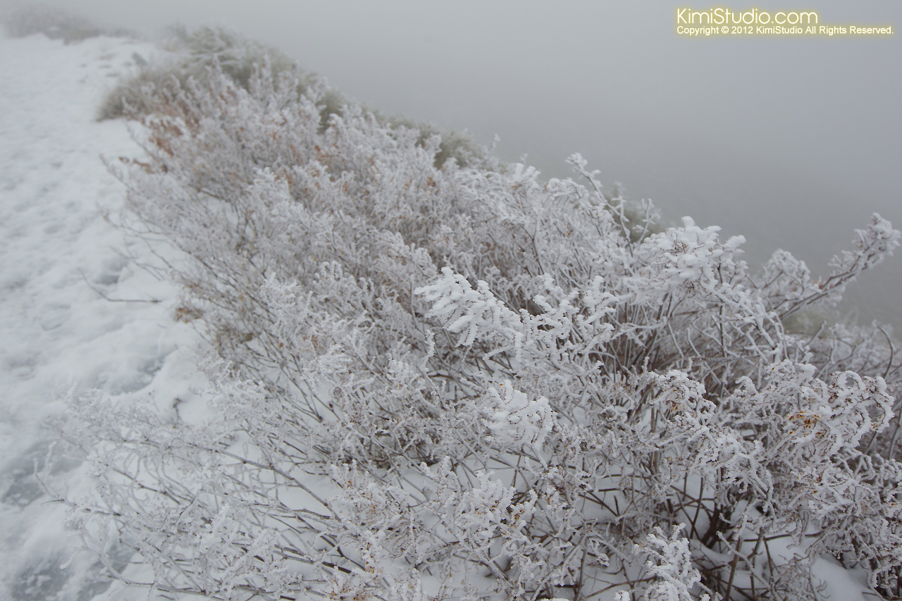 2012.01.31 Hohuan Mountain-019