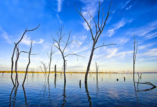 無料写真素材|自然風景|河川・湖|樹木|青色・ブルー