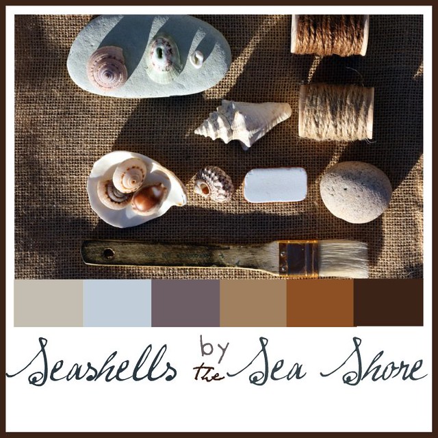 Sea shells collage