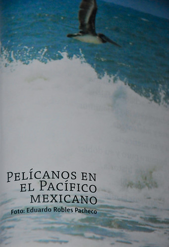 Revista Cámara - Noviembre 2011 (3)