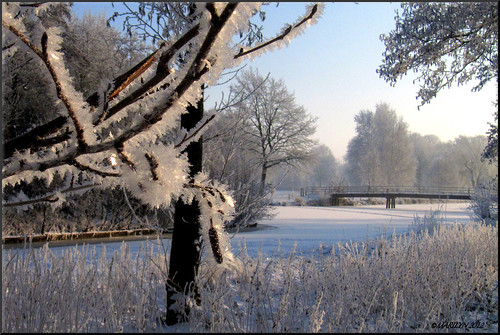 Winter Wonderland by Marilyn's foto's