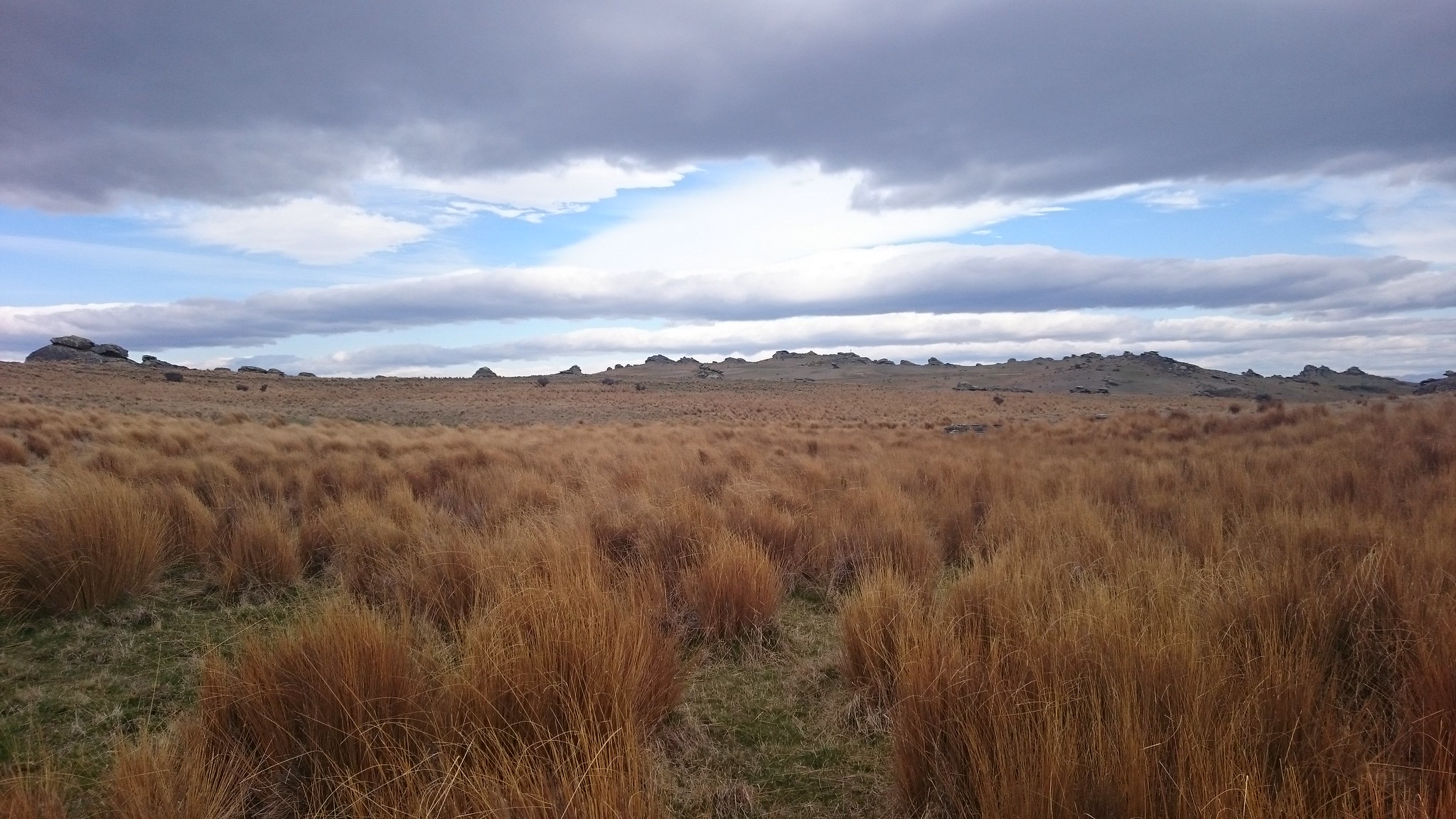 Día 17 - 16/10/15: Rohan Country (de Otago a Alexandra) y Queenstown - Nueva Zelanda, Aotearoa: El viaje de mi vida por la Tierra Media (70)