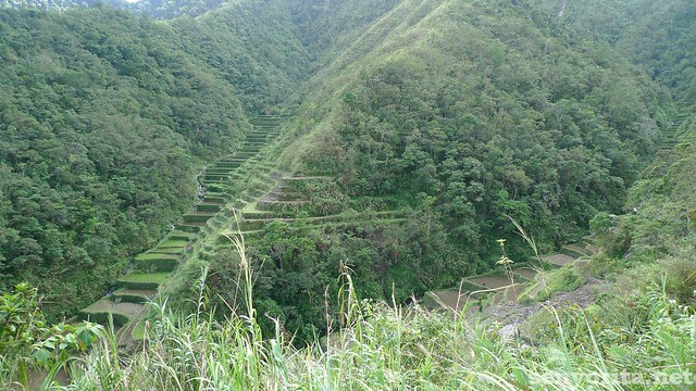 Another rice terraces seen along the way