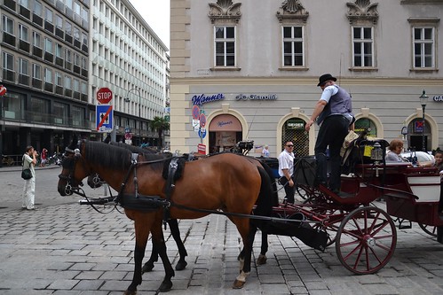 Carro de caballos en Stephansplatz