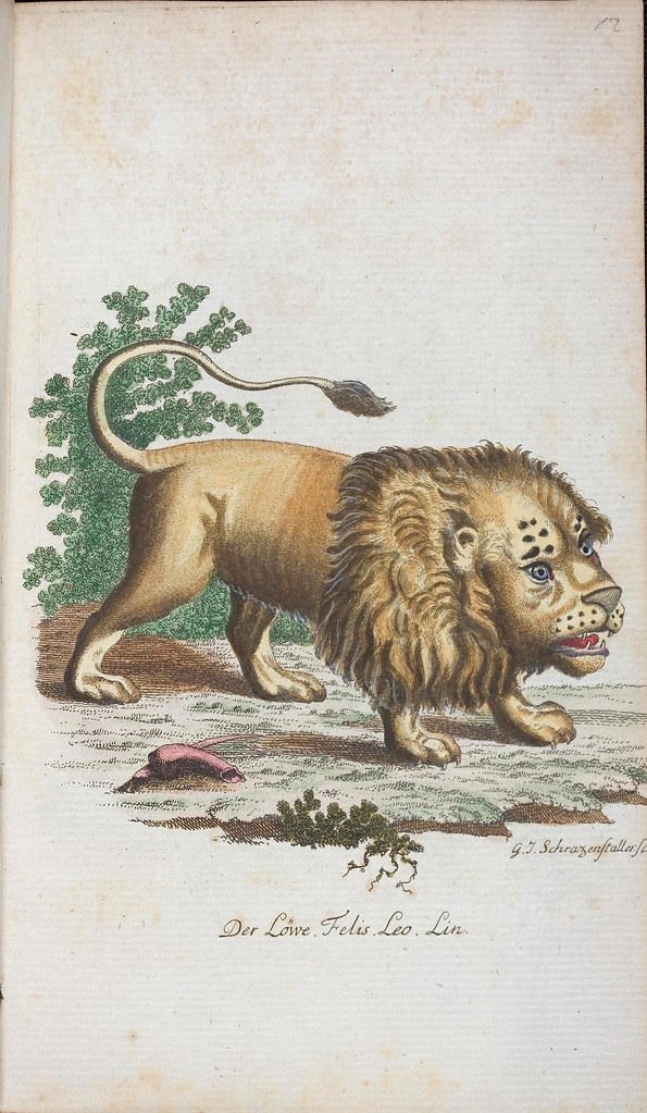 stylised Lion in 19th c. book by Johann Bechstein