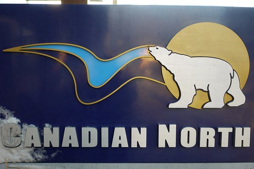 Canadian North Polar Bear