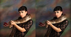 Maz and the boa constrictors x-eye