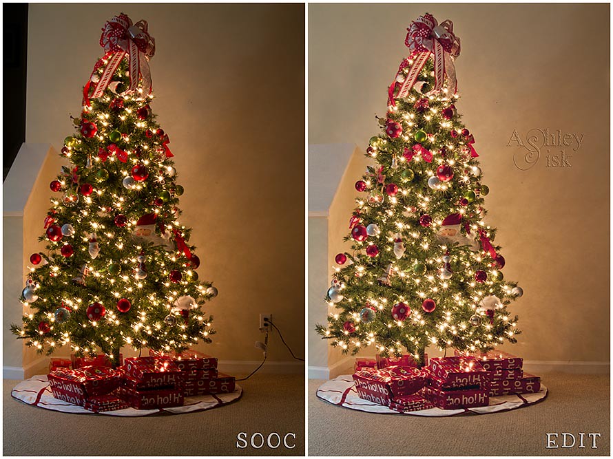 Christmas Tree 2011 Compare
