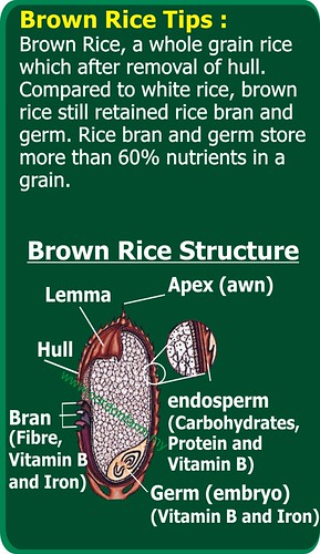 Brown Rice Tips