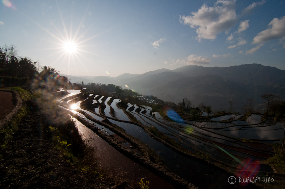 Yuanyang Rice Terrace in Sunset