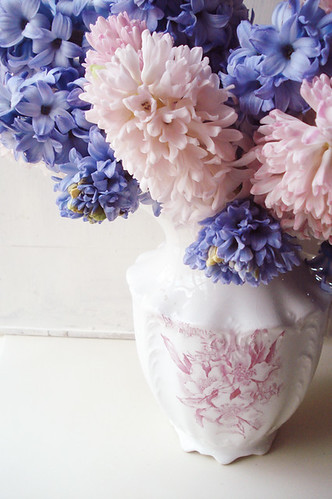Hyacinth in Vase