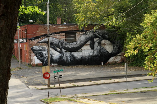 Albany (NY) - Living Walls 2011