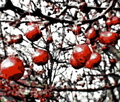 Winter Tree with Red Berries (Digital Woodcut) by randubnick