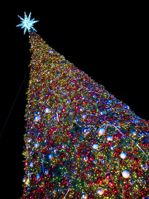 National Harbor Christmas Tree 2