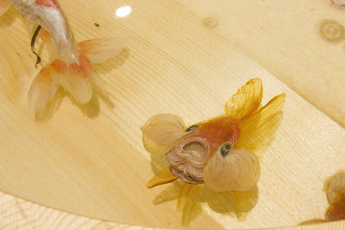 Awaya, Riusuke Fukahori - Goldfish Salvation