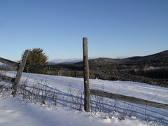 winter field by Teckelcar