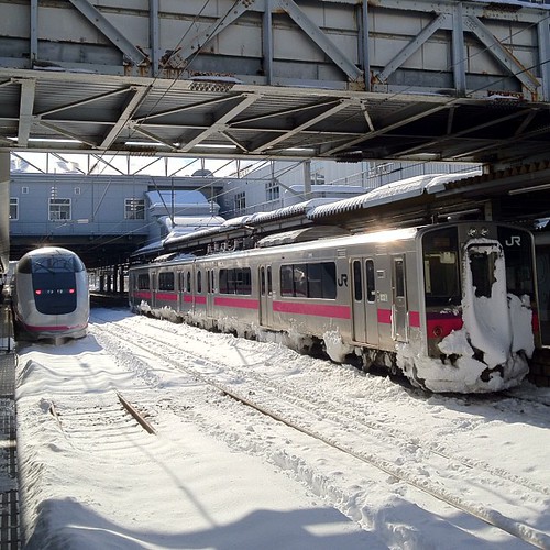 少し電車が遅れたが、11時半すぎに秋田到着！秋田新幹線と雪まみれの列車が秋田を感じるわー