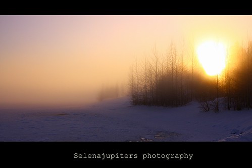 Polar sun! by selenajupiter
