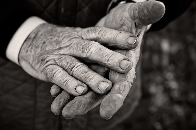 Grandfather's Hands