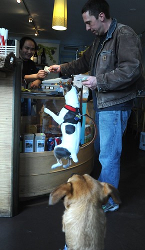 Lama G accepting payment, Magic flying dog levitation, Rosie watching in amazement, Lama G's Cafe, Fremont, Seattle, Washington, USA by Wonderlane