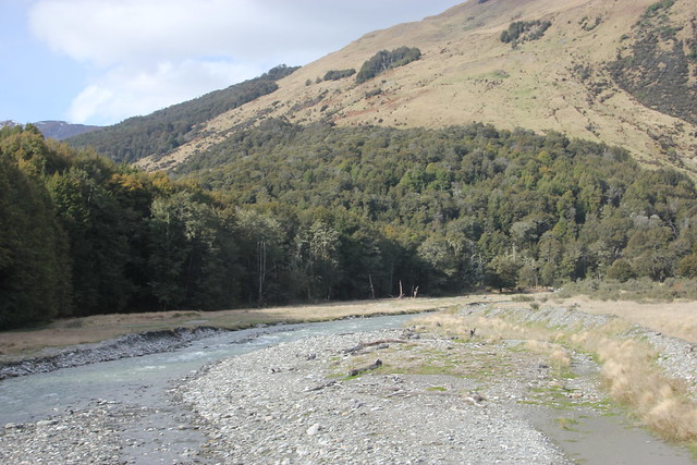 Nueva Zelanda, Aotearoa: El viaje de mi vida por la Tierra Media - Blogs de Nueva Zelanda - Día 19 - 18/10/15: Queenstown, Kawarau River, Glenorchy, Paradise y cumpleaños (134)