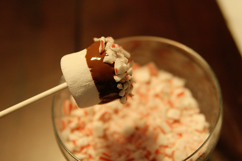 Candy Cane Marshmallow Pops 10