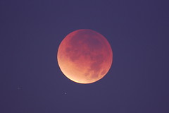 Lunar Eclipse - 10 Dec 2011