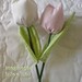 tulipas perfumadas