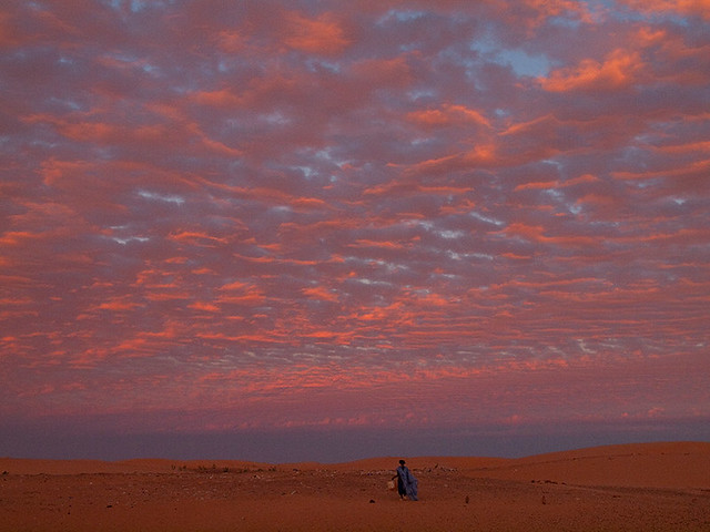 Через тернии к звездам, или Мавритания - 2011