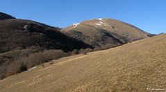 Monte Pennino